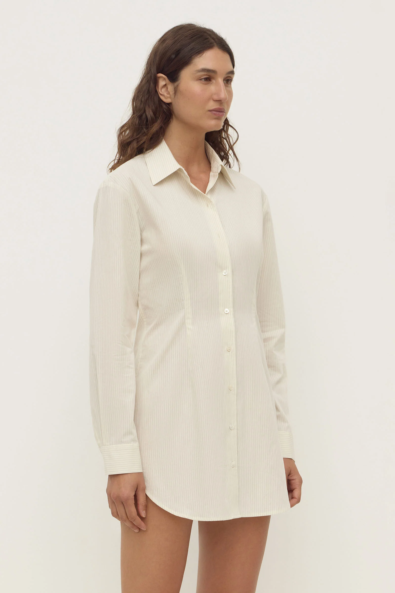 Marina Stripe Fitted Shirt Dress - Image 4